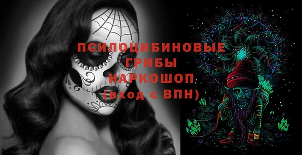 гидропоника Алексеевка