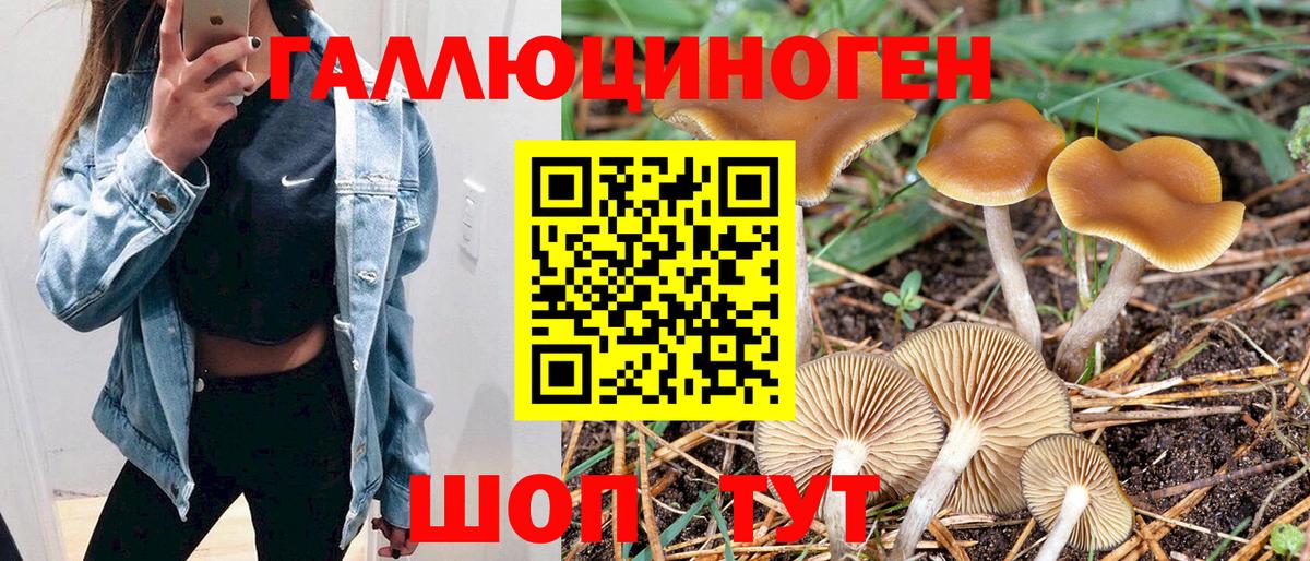 Галлюциногенные грибы Cubensis  Галлюциногенные грибы Psilocybe  Подольск  Вход с VPN 