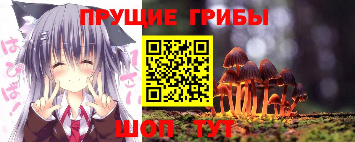 Галлюциногенные грибы Psilocybine cubensis Подольск