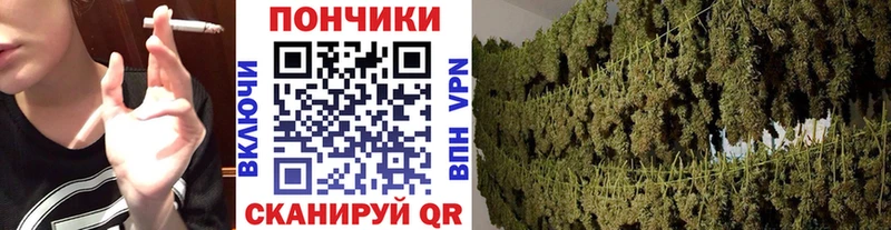 MEGA ТОР  Подольск  Каннабис White Widow 
